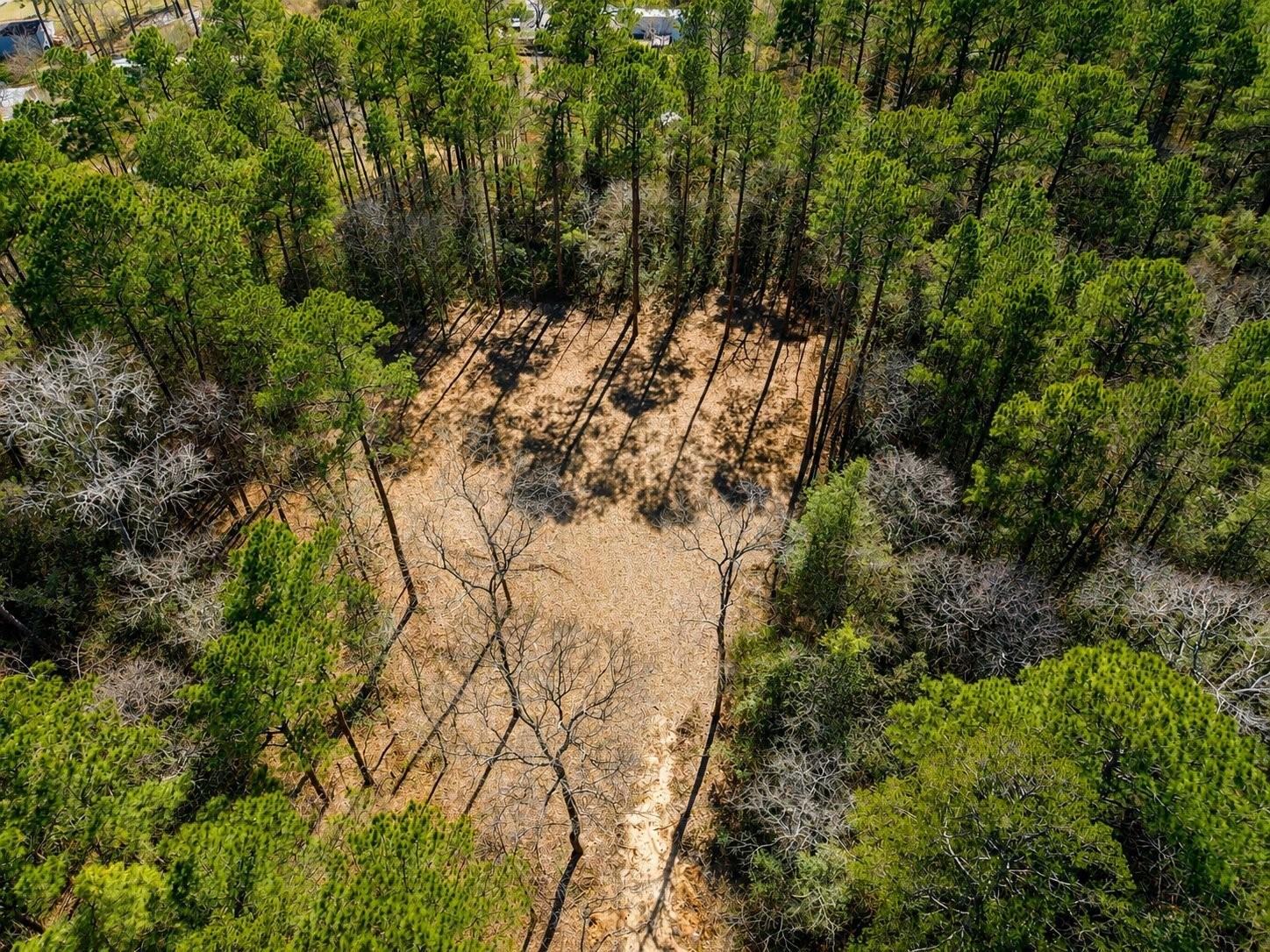 Land in Magnolia 5