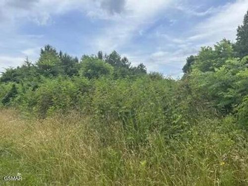 0 Saddle Ridge Dr, Speedwell, TN, 37870 | Card Image