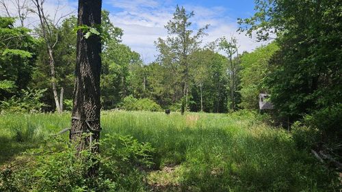 Tbd- 000 S Bonnie Lee Lane, Rogersville, MO, 65742 | Card Image