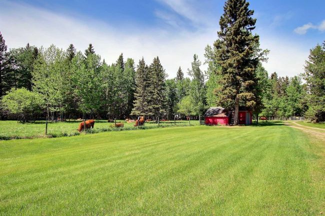 30-5139 27 Highway, Home with 5 bedrooms, 3 bathrooms and 4 parking in Rural Mountain View County AB | Image 35