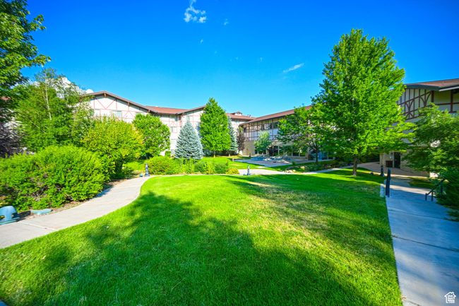 View of yard | Image 7