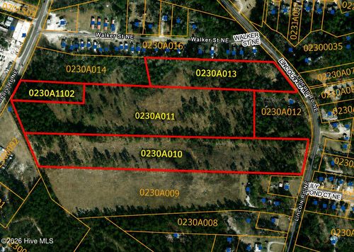 1970 Mt Misery Rd Ne, Leland, NC, 28451-9033 | Card Image