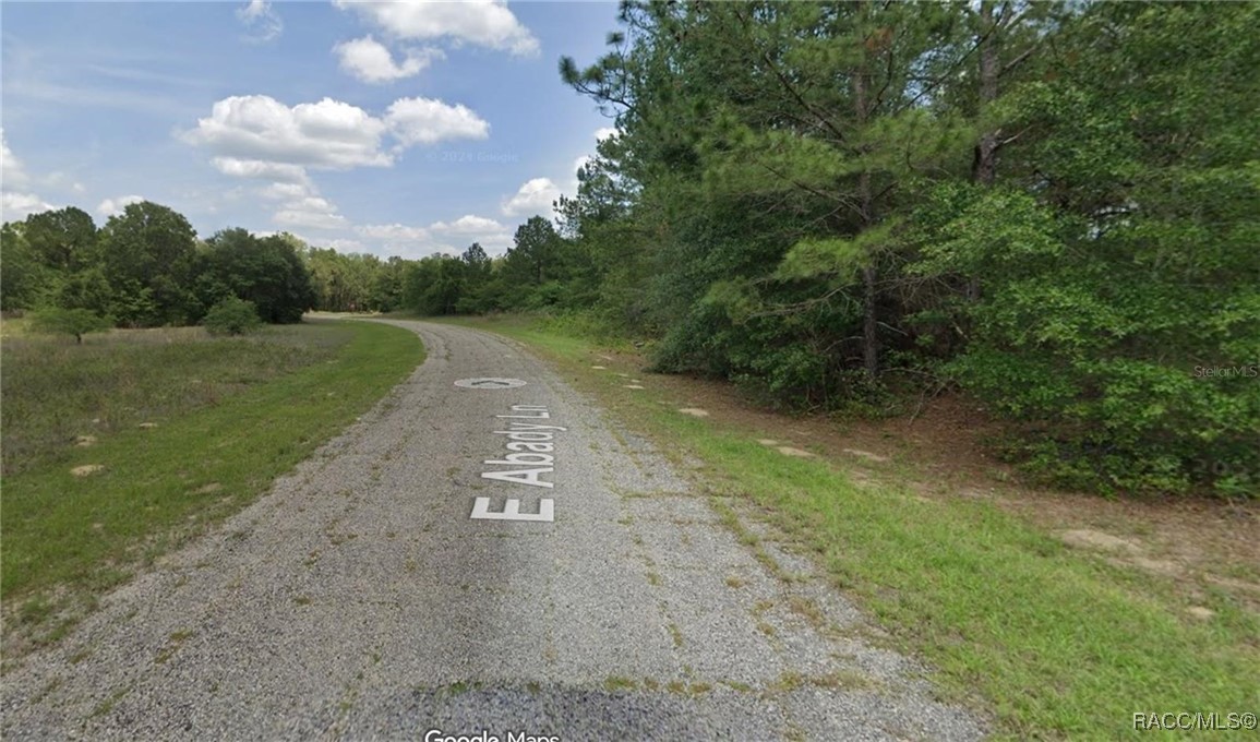 Land in Dunnellon 3