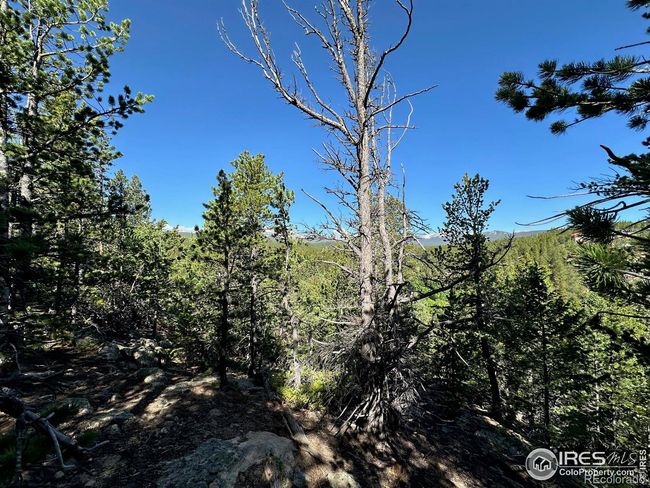 LOT-46 - 0 Pine Cone Circle, Home with 0 bedrooms, 0 bathrooms and null parking in Allenspark CO | Image 4