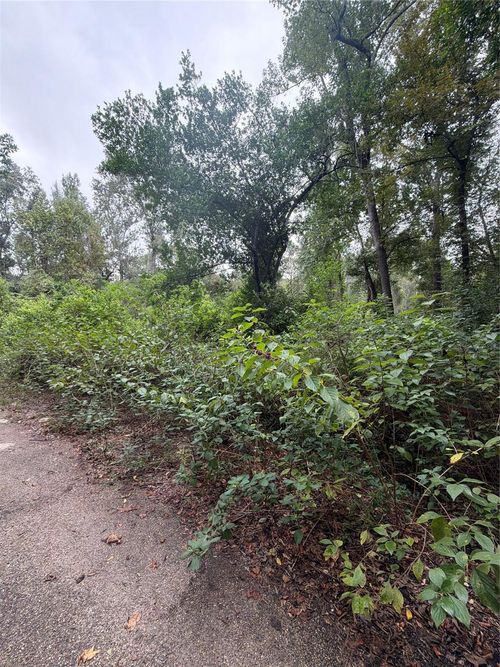 0 Cottonwood Pl, Splendora, TX, 77372 | Card Image