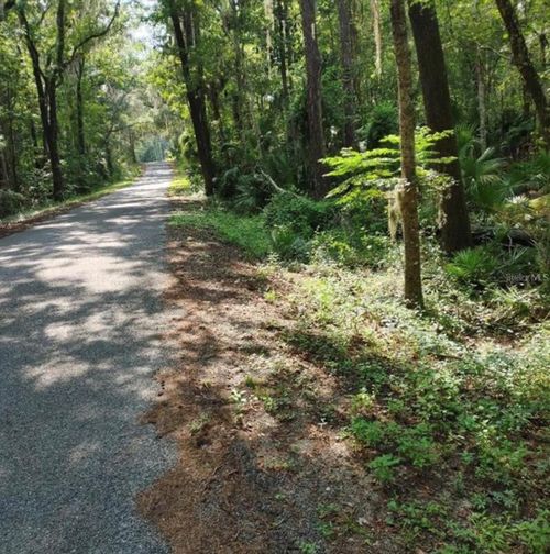 TBD Nw 200th Street Rd, MICANOPY, FL, 32667 | Card Image