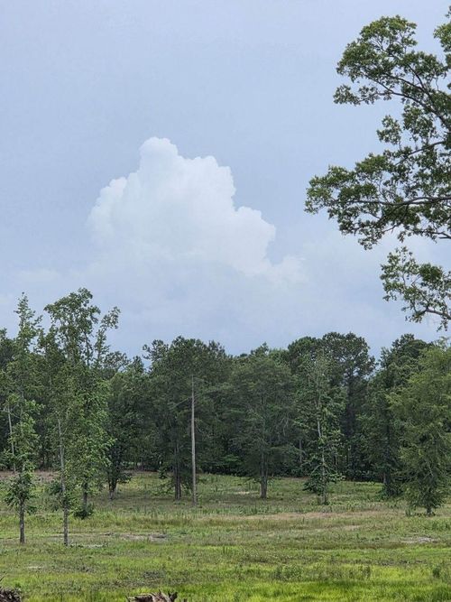 365 Shagbark Way, Harlem, GA, 30814-0059 | Card Image