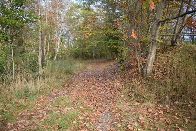 00 Pillsbury Street, Home with 0 bedrooms, 0 bathrooms and null parking in Enfield NH | Image 1