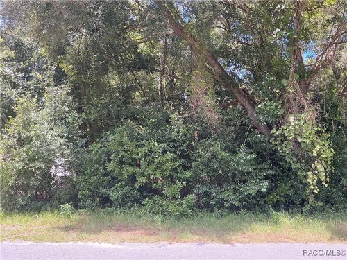 3953 E Sanders St, INVERNESS, FL, 34453-9000 | Card Image