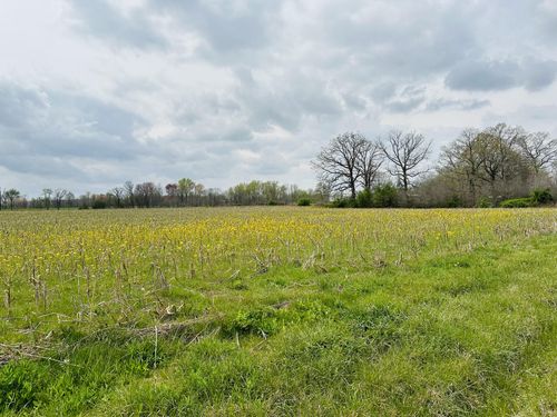 270 Dugout Rd, Summertown, TN, 38483 | Card Image