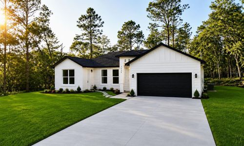 1133 W Nankeen Dr, DUNNELLON, FL, 34434 | Card Image