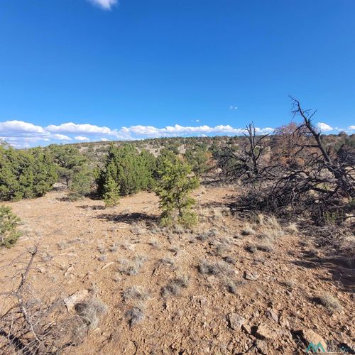 0 Canyon Dr, Datil, NM, 87821-0000 | Card Image
