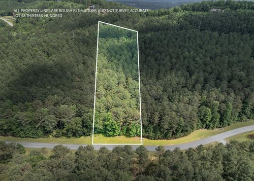 LOT 48 Thirteen Hundred, Blairsville, GA, 30512 | Card Image