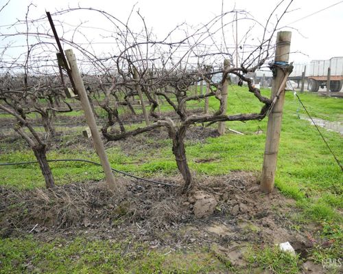  Road 150, Delano-T, CA, 93215 | Card Image