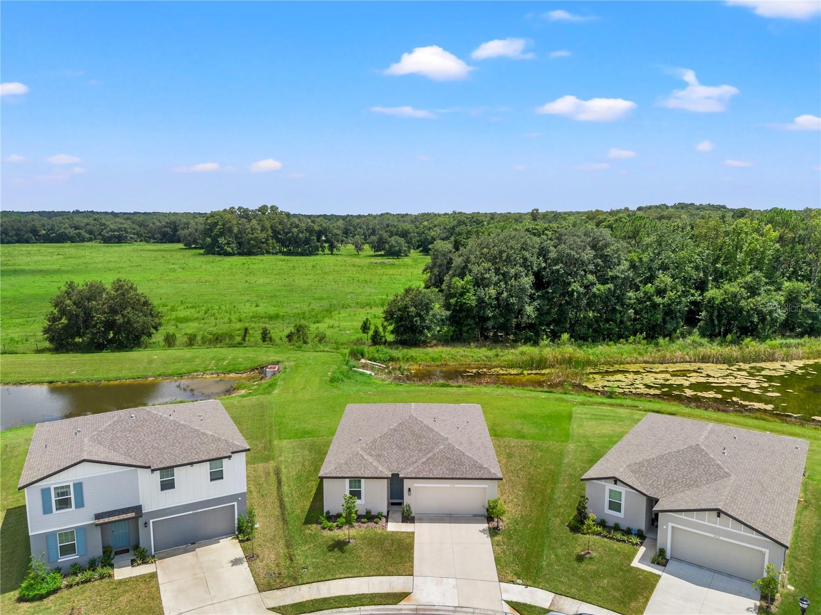 Forrest Plum Ct, Zephyrhills, FL 33540