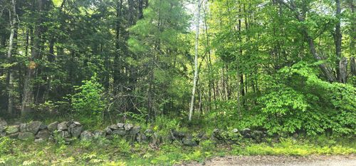019-240-019 Sanborn Rd, Acton, ME, 04001-5204 | Card Image