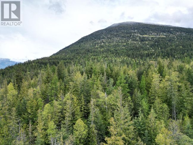 434 Lexington Ave, Home with 0 bedrooms, 0 bathrooms and null parking in Procter BC | Image 23