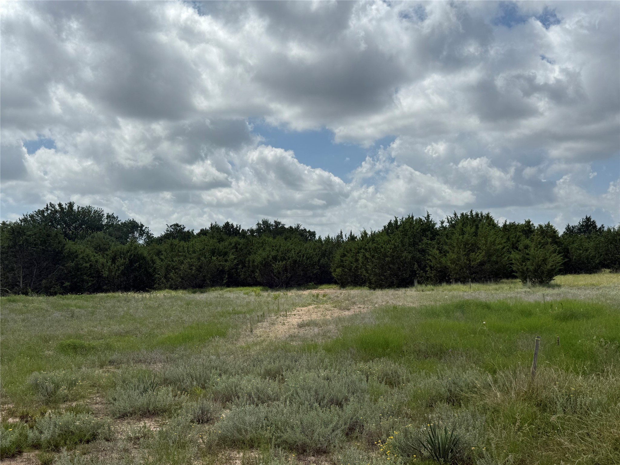 Land in Weatherford 4