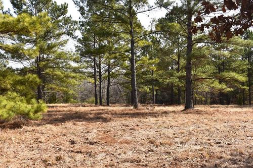 Lot 24 An County Road 2125, Palestine, TX, 75801 | Card Image