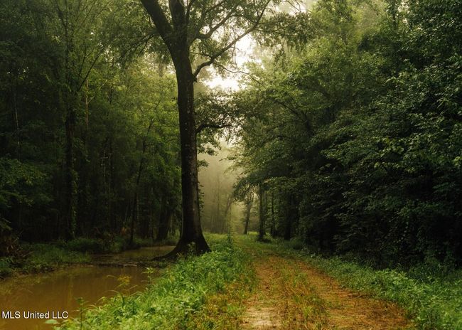 Castens Creek Pics-9 | Image 4
