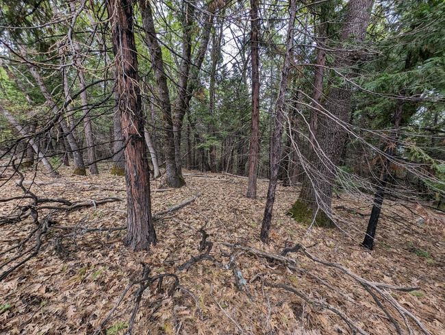 16805 Jones Ridge Rd, Home with 0 bedrooms, 0 bathrooms and null parking in Grass Valley CA | Image 6