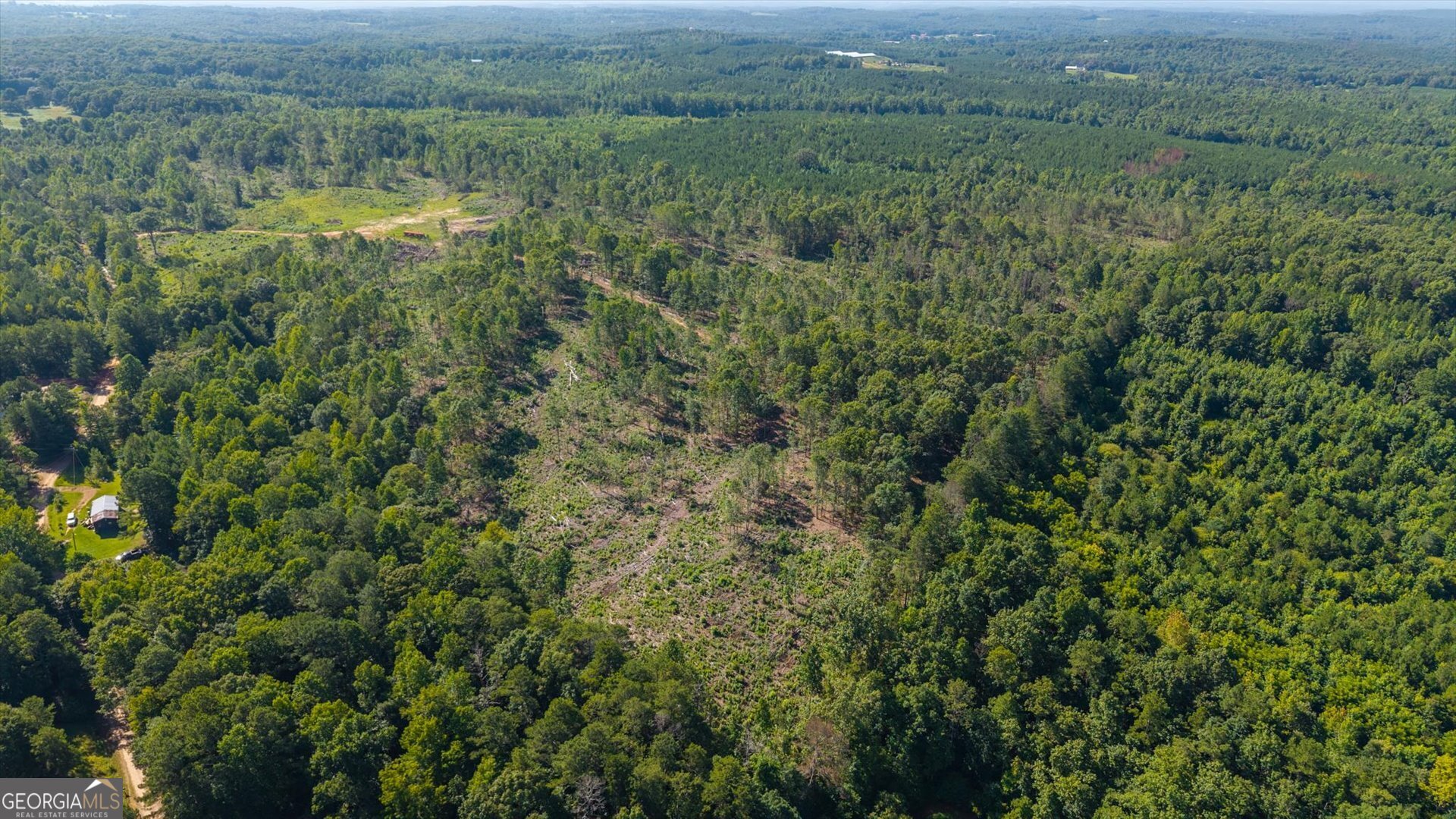 Land in Heflin 3