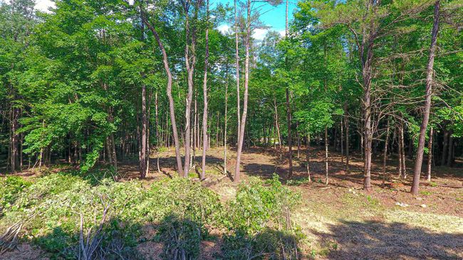 R3-45 - 41 Foss Flats Road, Home with 0 bedrooms, 0 bathrooms and null parking in Sandwich NH | Image 4