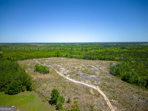 TRACT 1 Scuffletown Hwy, Bristol, GA, 31518 | Card Image