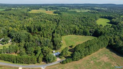 20.3 Acres County Road 589, Home with 0 bedrooms, 0 bathrooms and null parking in Henagar AL | Image 3