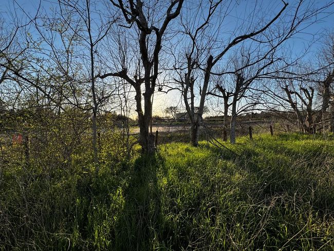 27215 Highway 36, Home with 0 bedrooms, 0 bathrooms and null parking in Damon TX | Image 21