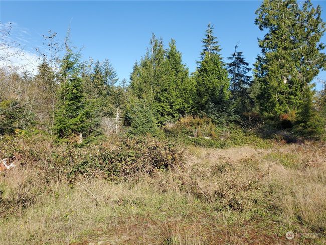 36602 Stackpole Rd, Home with 0 bedrooms, 0 bathrooms and null parking in Oysterville WA | Image 13