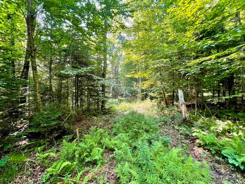 00 Peene Hill Rd, Barton, VT, 05822 | Card Image