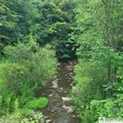 1 Bowen Rd, Randolph, NY, 14772 | Card Image