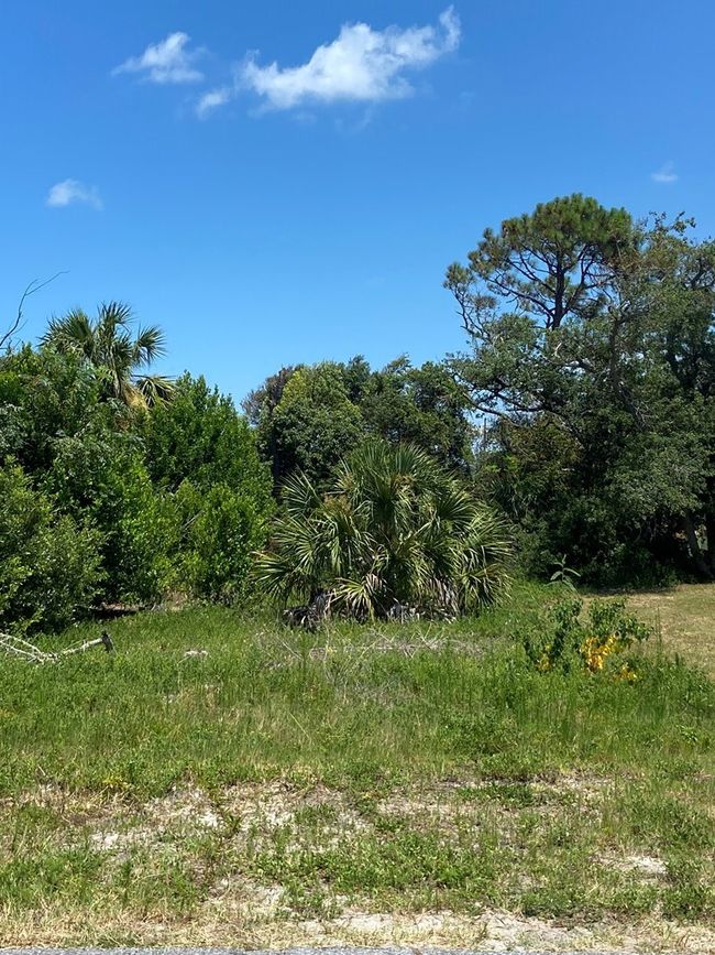 117 Atlantic St, Home with 0 bedrooms, 0 bathrooms and null parking in Port St. Joe FL | Image 18