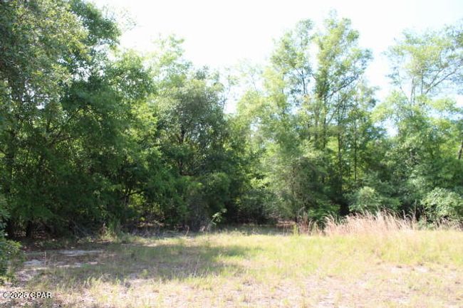 5929 Nichols Rd, House other with 3 bedrooms, 2 bathrooms and null parking in Bascom FL | Image 16