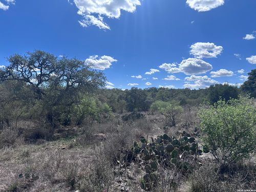 119 Cartama, Spring Branch, TX, 78070-2339 | Card Image