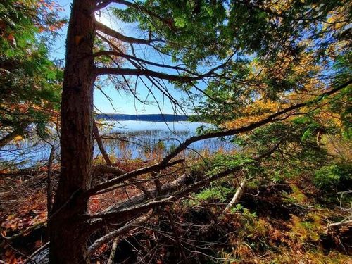 0 Blackcat Pt Drive, Princeton, ME, 04668 | Card Image