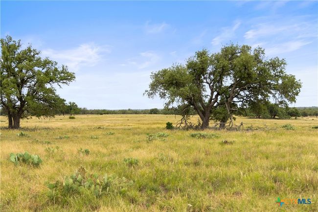 3049 Reservation Rd, Home with 0 bedrooms, 0 bathrooms and null parking in Harper TX | Image 40
