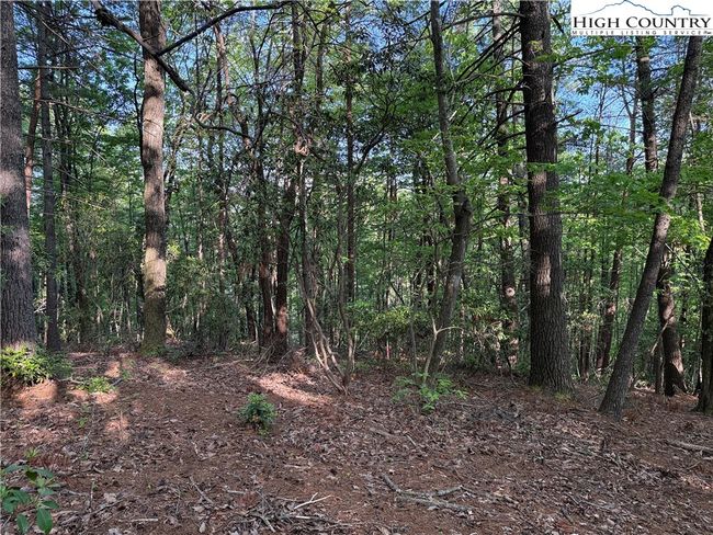 27 Wolf Pen Rd, Home with 0 bedrooms, 0 bathrooms and null parking in Purlear NC | Image 18