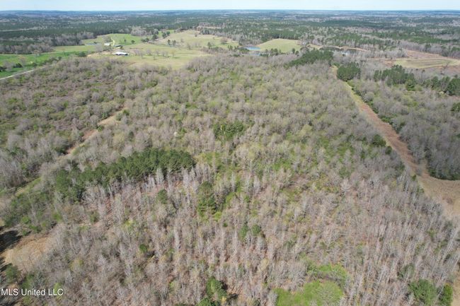 DJI_0032 | Image 53