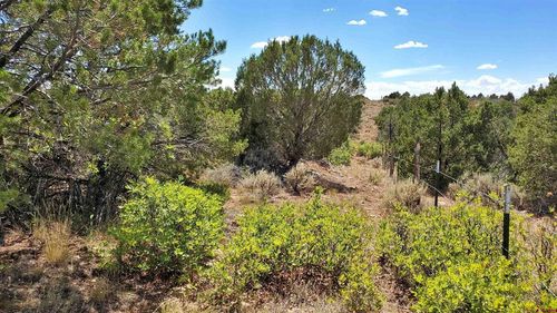 tbd County Road 15.5, Yellow Jacket, CO, 81335 | Card Image