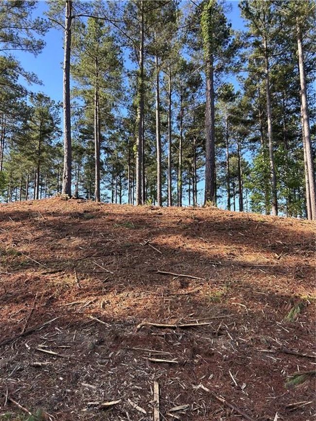 Lot 2 Little Keowee Boulevard, Home with 0 bedrooms, 0 bathrooms and null parking in West Union SC | Image 13