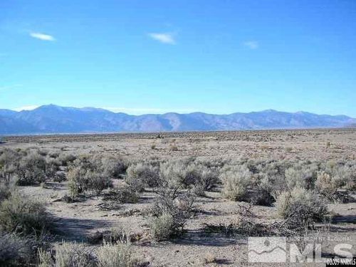 325 Ludwig Ln, Smith, NV, 89430 | Card Image
