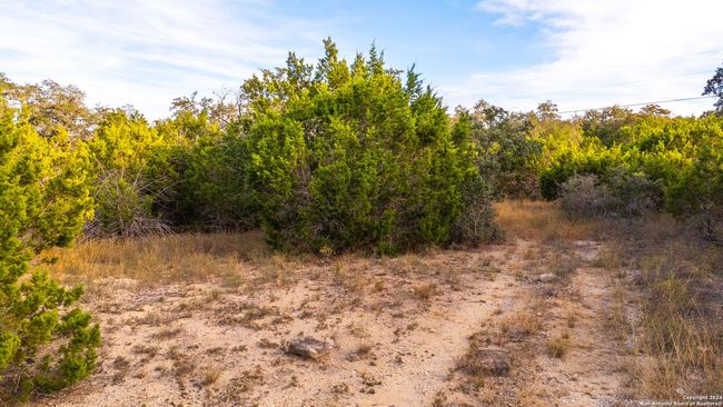 111 Hondo Oaks Dr, Home with 0 bedrooms, 0 bathrooms and null parking in Tarpley TX | Image 7