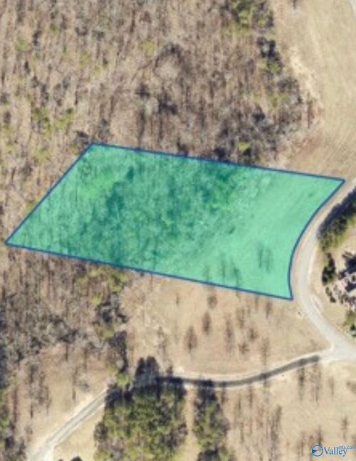 48-Lot 48 County Road 767, Cedar Bluff, AL, 35959-3214 | Card Image