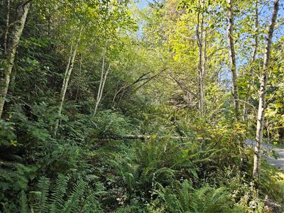 Road cut in going to the top of the property for your view. | Image 3