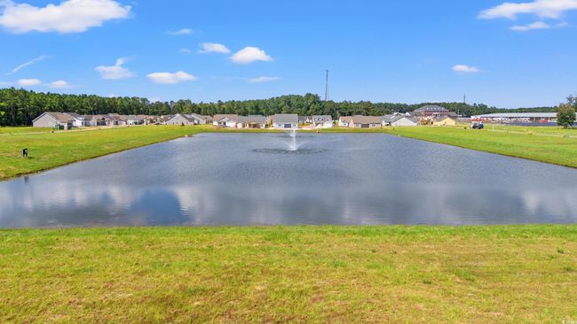 1227 Cypress Shoal Dr, House other with 3 bedrooms, 2 bathrooms and 4 parking in Conway SC | Image 32