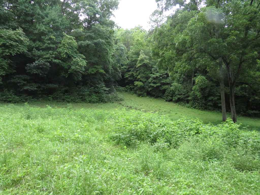 Land in Sylva 5