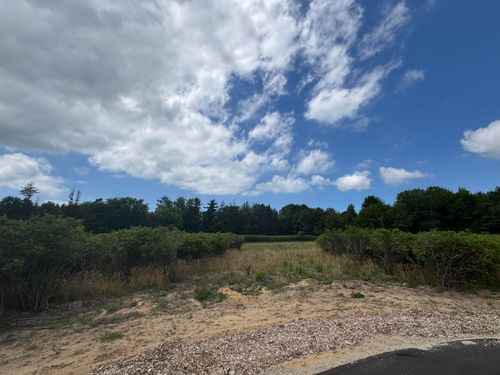 lot-d-6537 118th Ave, Fennville, MI, 49408-9701 | Card Image