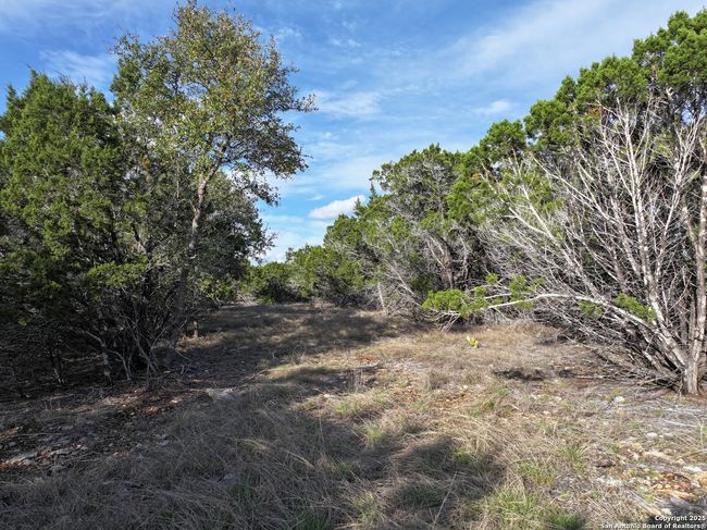 PARCEL19 La Vista Ct, Home with 0 bedrooms, 0 bathrooms and null parking in Pipe Creek TX | Image 13